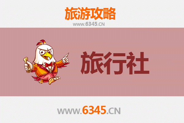 漳州芗城本地旅行社推荐：地道体验与专业服务指南